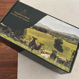 The Discovery Box
